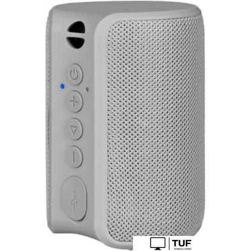 Беспроводная колонка TFN Play (серый)