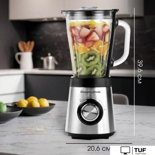 Стационарный блендер Zigmund & Shtain BS-448 D