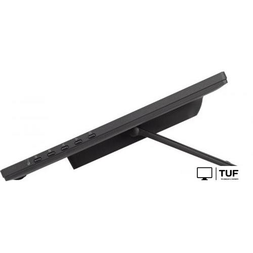 Портативный монитор Iiyama ProLite T2455MSC-B1