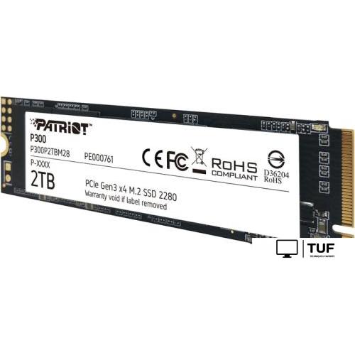 SSD Patriot P300 2TB P300P2TBM28