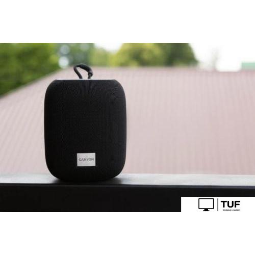 Беспроводная колонка Canyon BSP-8 (черный)