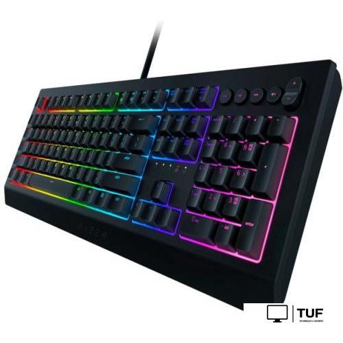 Клавиатура Razer Cynosa v2