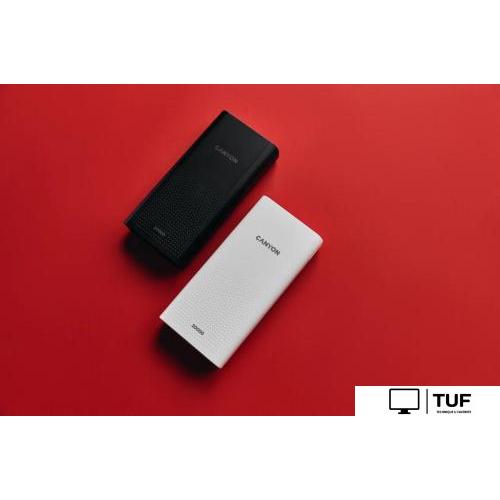 Внешний аккумулятор Canyon PB-2001 20000mAh (белый)