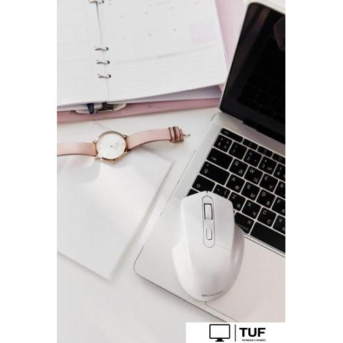 Мышь Canyon MW-15 (белый)