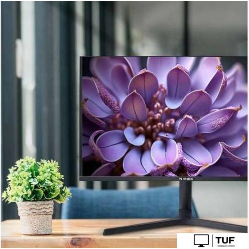 Монитор IRBIS NobleView IMVW32QIDL