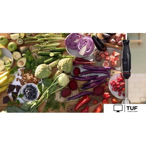 Погружной блендер Bosch MSM4B6V2