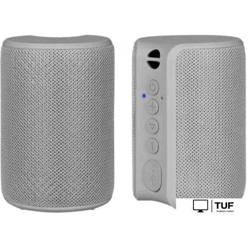 Беспроводная колонка TFN Play (серый)