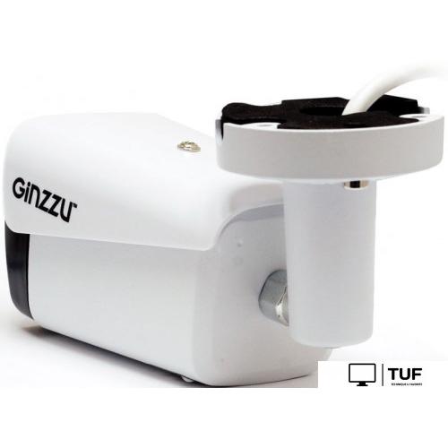 IP-камера Ginzzu HIB-2301S