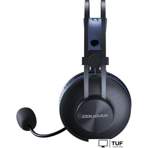 Наушники Cougar Immersa Essential (черный/синий)