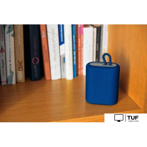 Беспроводная колонка Canyon BSP-4 (красный)