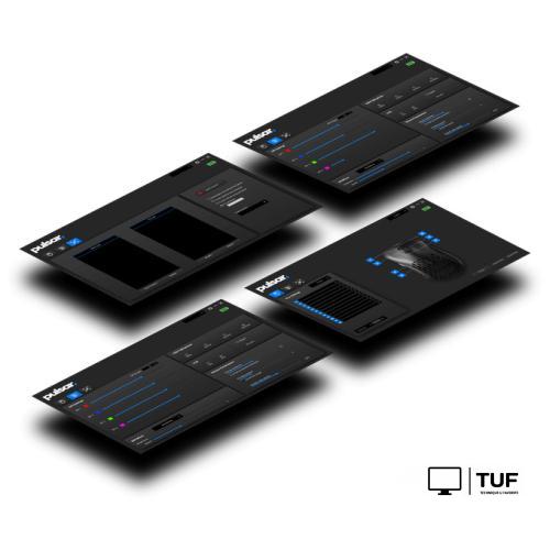 Игровая мышь Pulsar Xlite V2 Mini Wireless (черный)