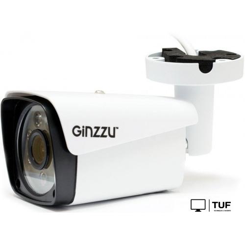 IP-камера Ginzzu HIB-2301S