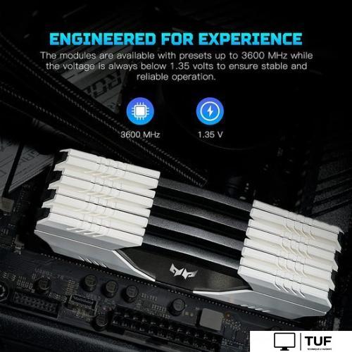 Оперативная память Acer Predator Talos 2x8ГБ DDR4 3000 МГц BL.9BWWR.211