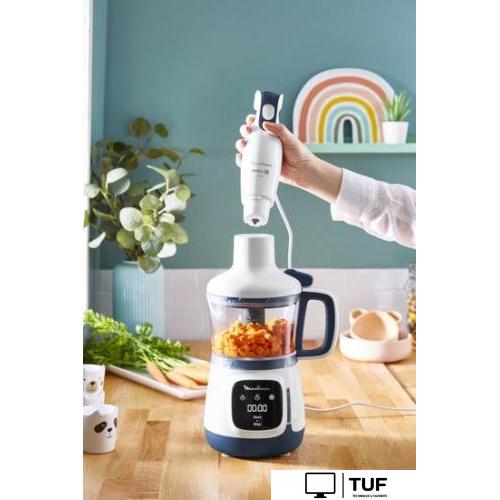 Погружной блендер Moulinex Yummy Gourmet DD55W110