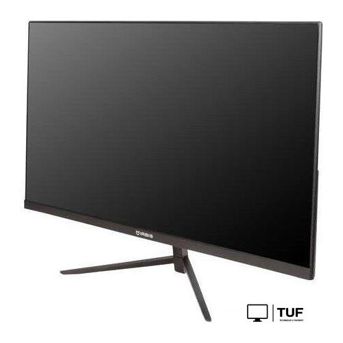 Монитор IRBIS ViewWorld 24FIDS010