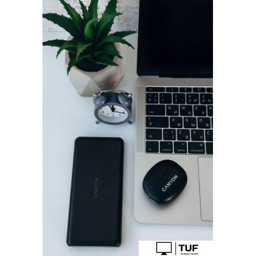 Внешний аккумулятор Canyon PB-109 10000mAh (черный)