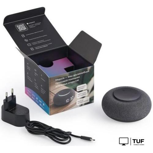 Умная колонка VK Капсула Мини (темно-серый)