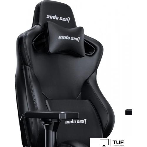 Игровое (геймерское) кресло AndaSeat Frontier AD12Y-12-B-PV (черный)