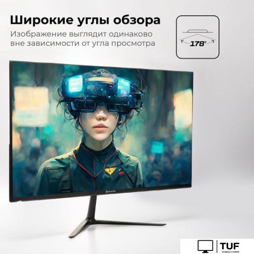 Игровой монитор Evolution GX24iC IPS