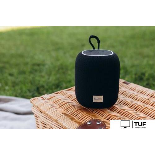 Беспроводная колонка Canyon BSP-8 (черный)