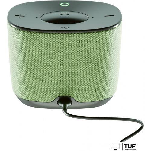 Умная колонка Sber SberBoom Home (фисташковый)