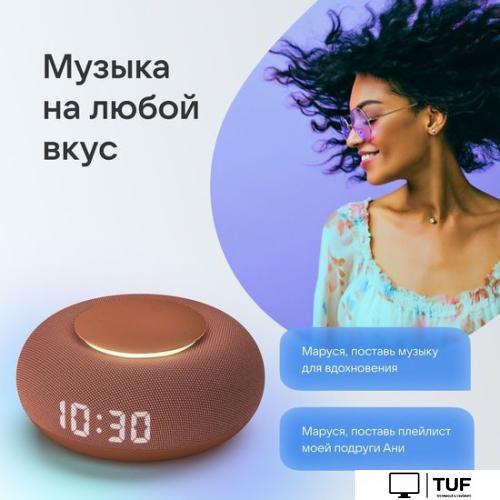 Умная колонка VK Капсула Мини (терракотовый)