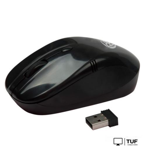 Мышь Ritmix RMW-111