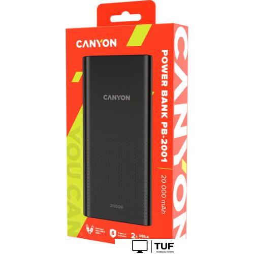 Внешний аккумулятор Canyon PB-2001 20000mAh (черный)
