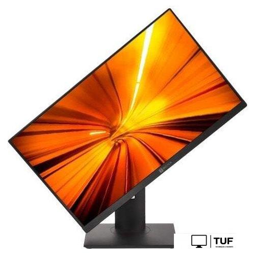 Моноблок ТЕСЛА P24BP 2116500