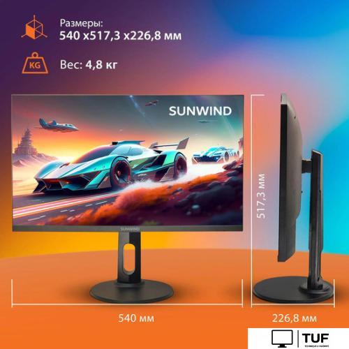 Монитор SunWind SUN-M24BA104