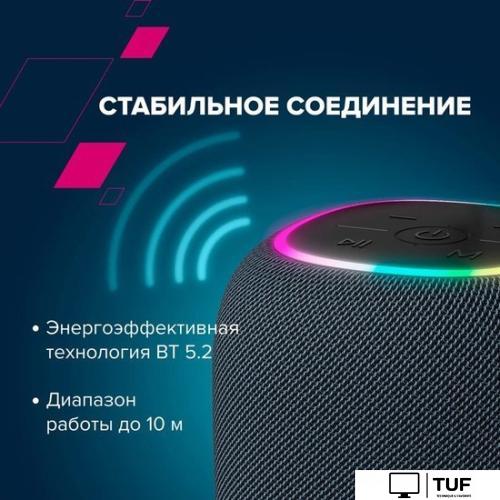 Беспроводная колонка Canyon BSP-8 (черный)