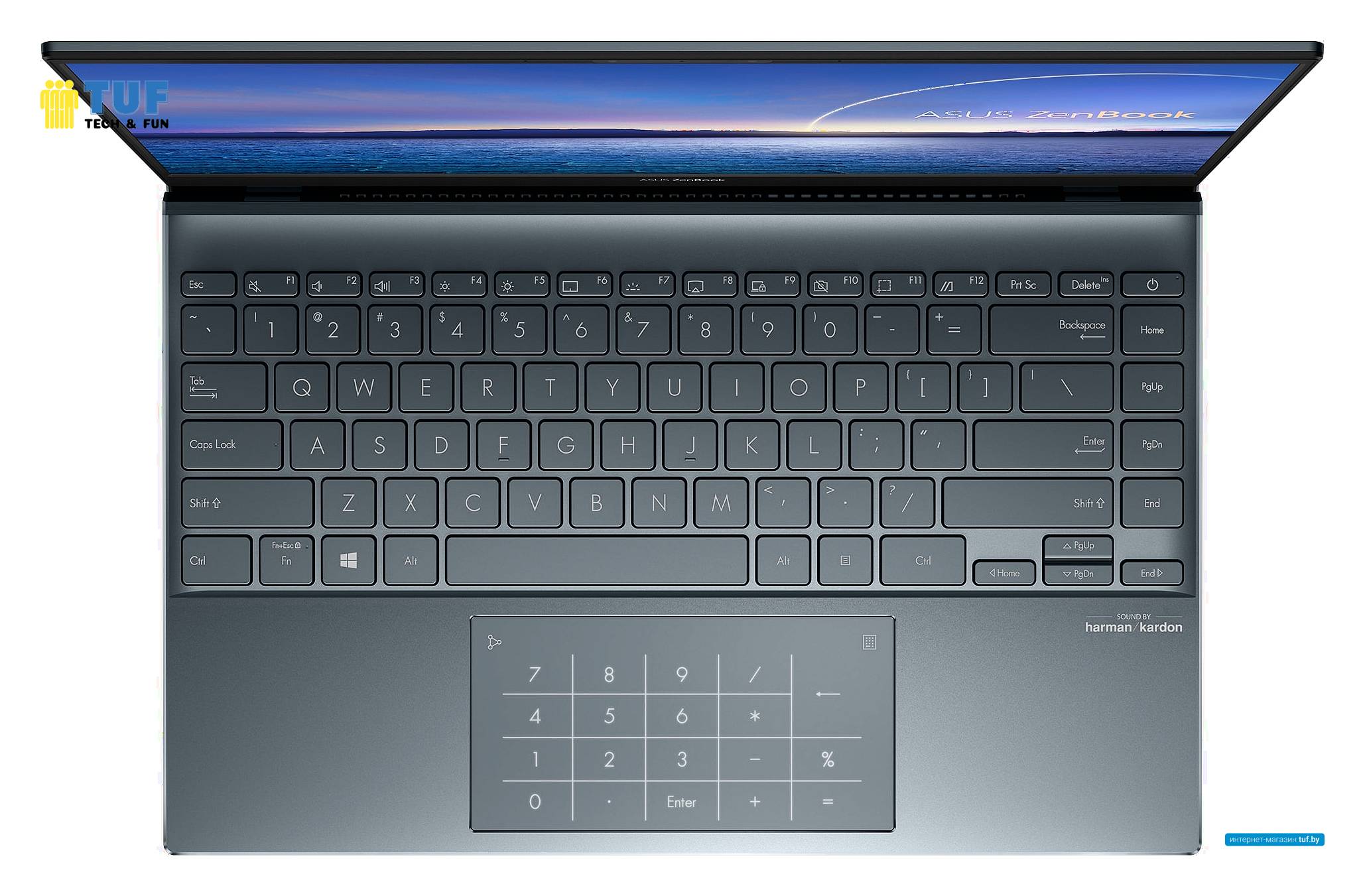 Ноутбук ASUS ZenBook 14 UX425JA-BM031T