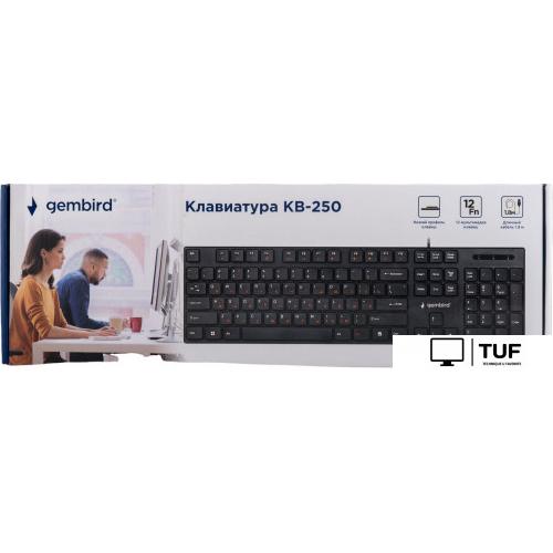 Клавиатура Gembird KB-250