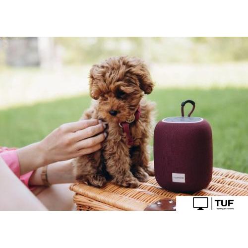 Беспроводная колонка Canyon BSP-8 (черный)