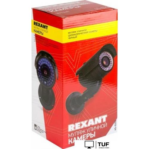 IP-камера Rexant 45-0250