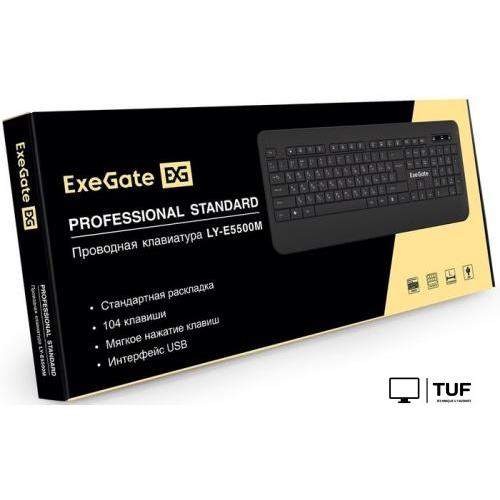 Клавиатура ExeGate Professional Standard LY-E5500M Color box