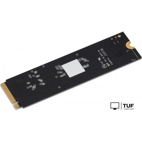SSD Digma Mega P5 256GB DGSM3256GP53T