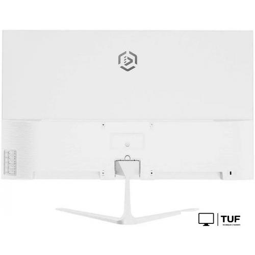 Монитор Raskat I24F10DAW