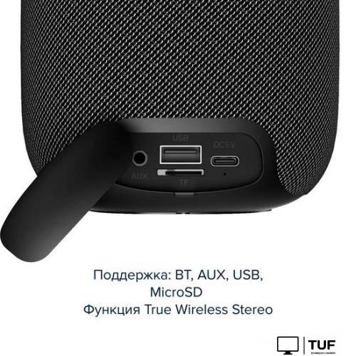 Беспроводная колонка Canyon BSP-8 (черный)