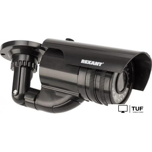 IP-камера Rexant 45-0250