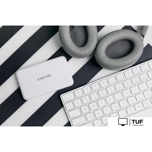 Внешний аккумулятор Canyon PB-1001 10000mAh (белый)