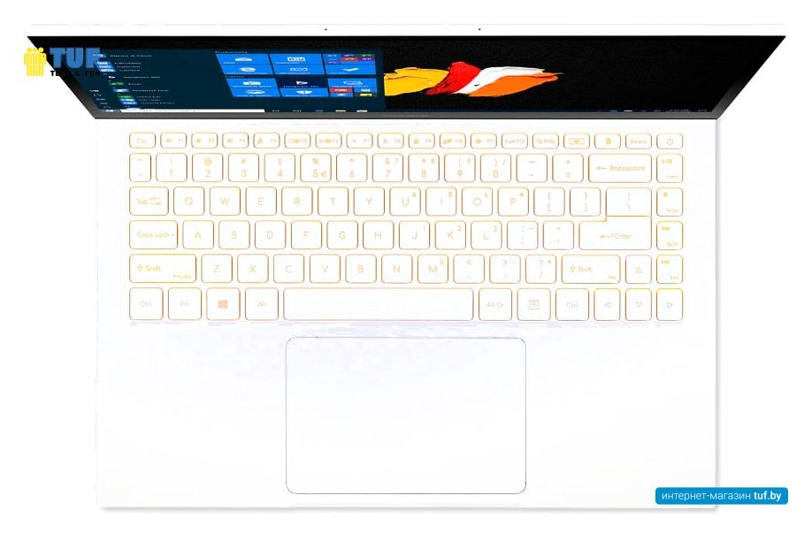 Ноутбук 2-в-1 Acer ConceptD 3 Ezel CC314-72G-76F1 NX.C5HER.002