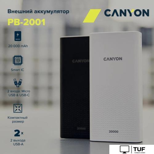 Внешний аккумулятор Canyon PB-2001 20000mAh (белый)