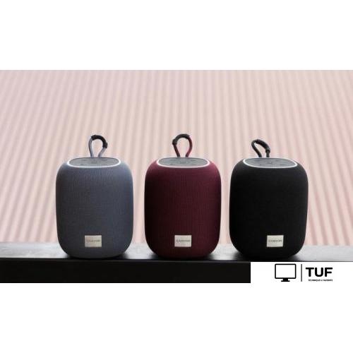 Беспроводная колонка Canyon BSP-8 (черный)