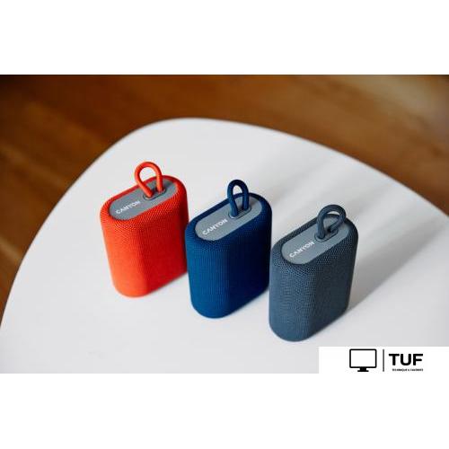 Беспроводная колонка Canyon BSP-4 (красный)