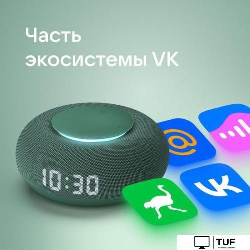 Умная колонка VK Капсула Мини (хвойный зеленый)