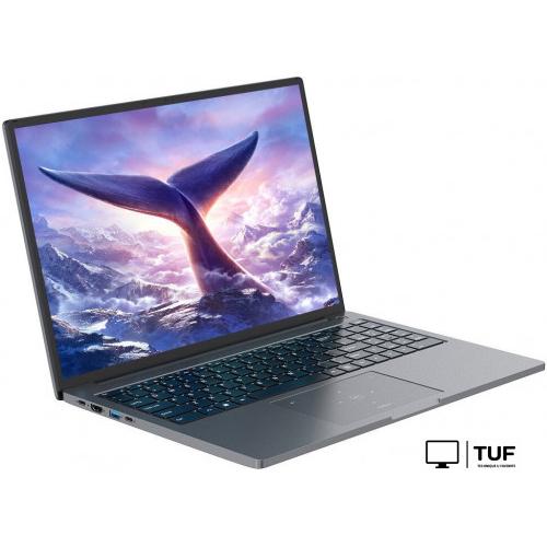 Ноутбук Blackview GamiBook 8 16GB/512GB (серый)