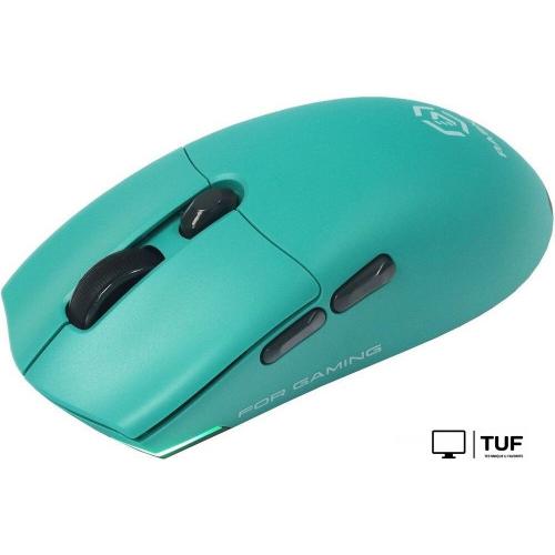 Мышь Raskat MG006TR