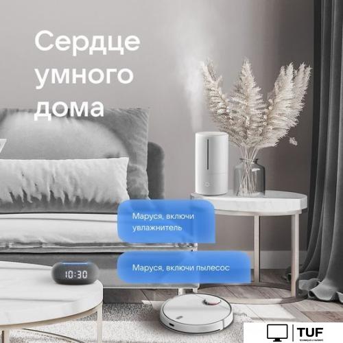 Умная колонка VK Капсула Мини (темно-серый)