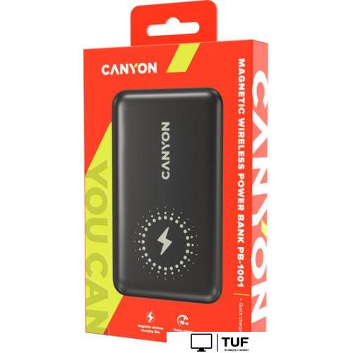 Внешний аккумулятор Canyon PB-1001 10000mAh (черный)